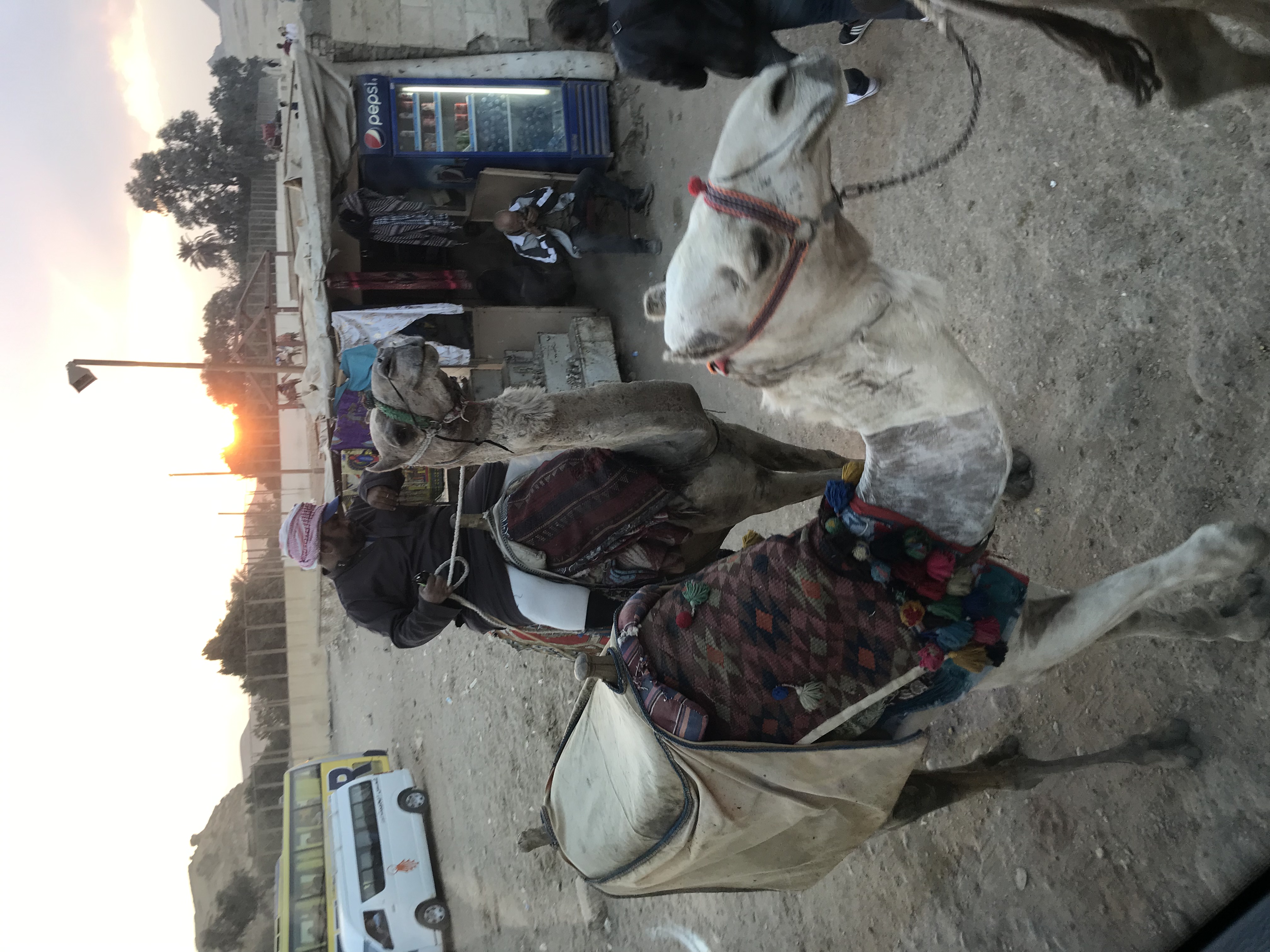 ./2018/16 - Egypt/03 - Pyramids/IMG_0971.jpg